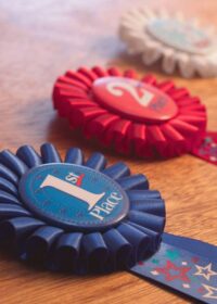 TxSGS Announces 2018 Writing and Website Award Winners