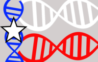 Early Texans DNA Database is Now Live